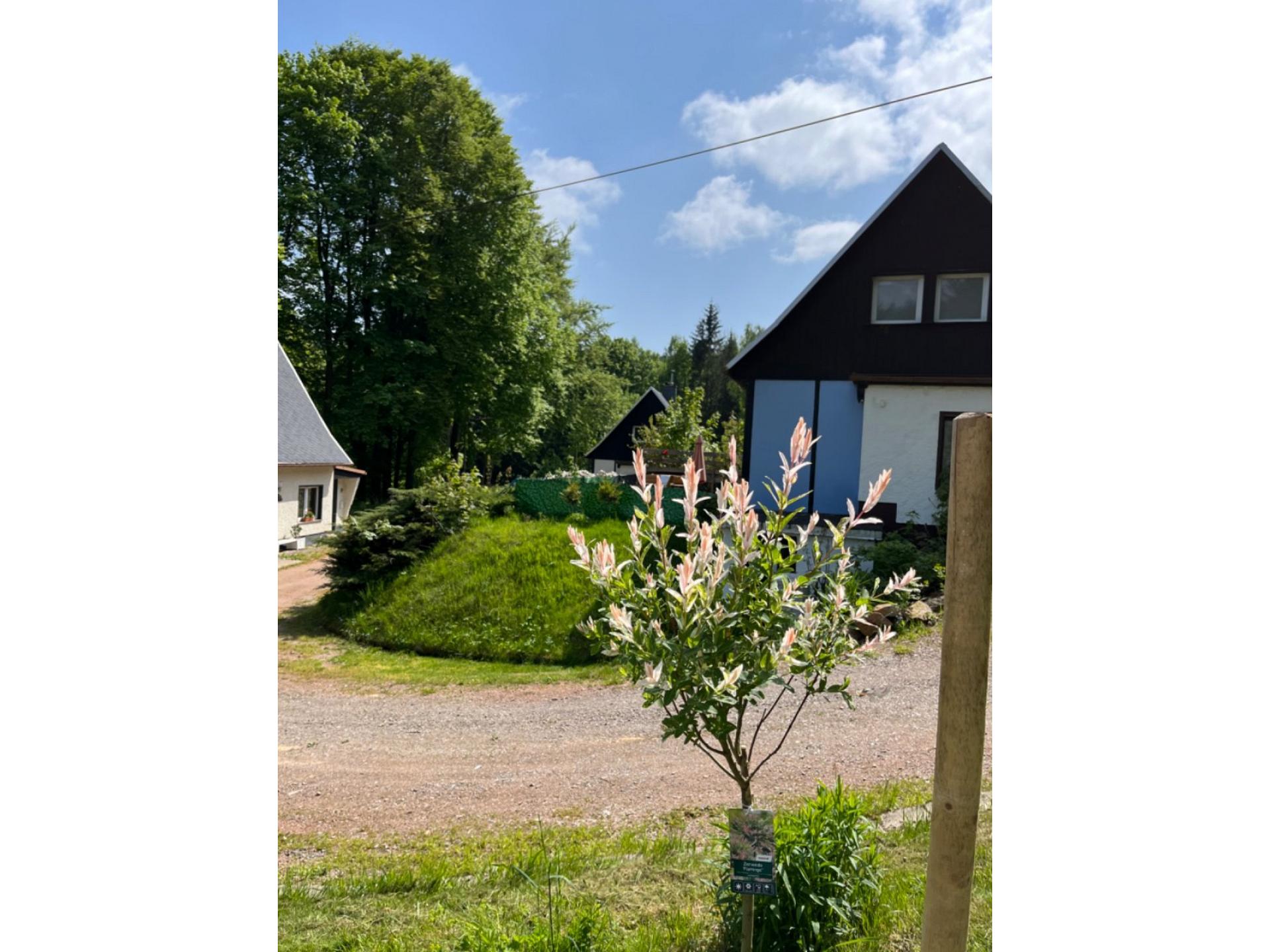 Haus 5 Foto 19