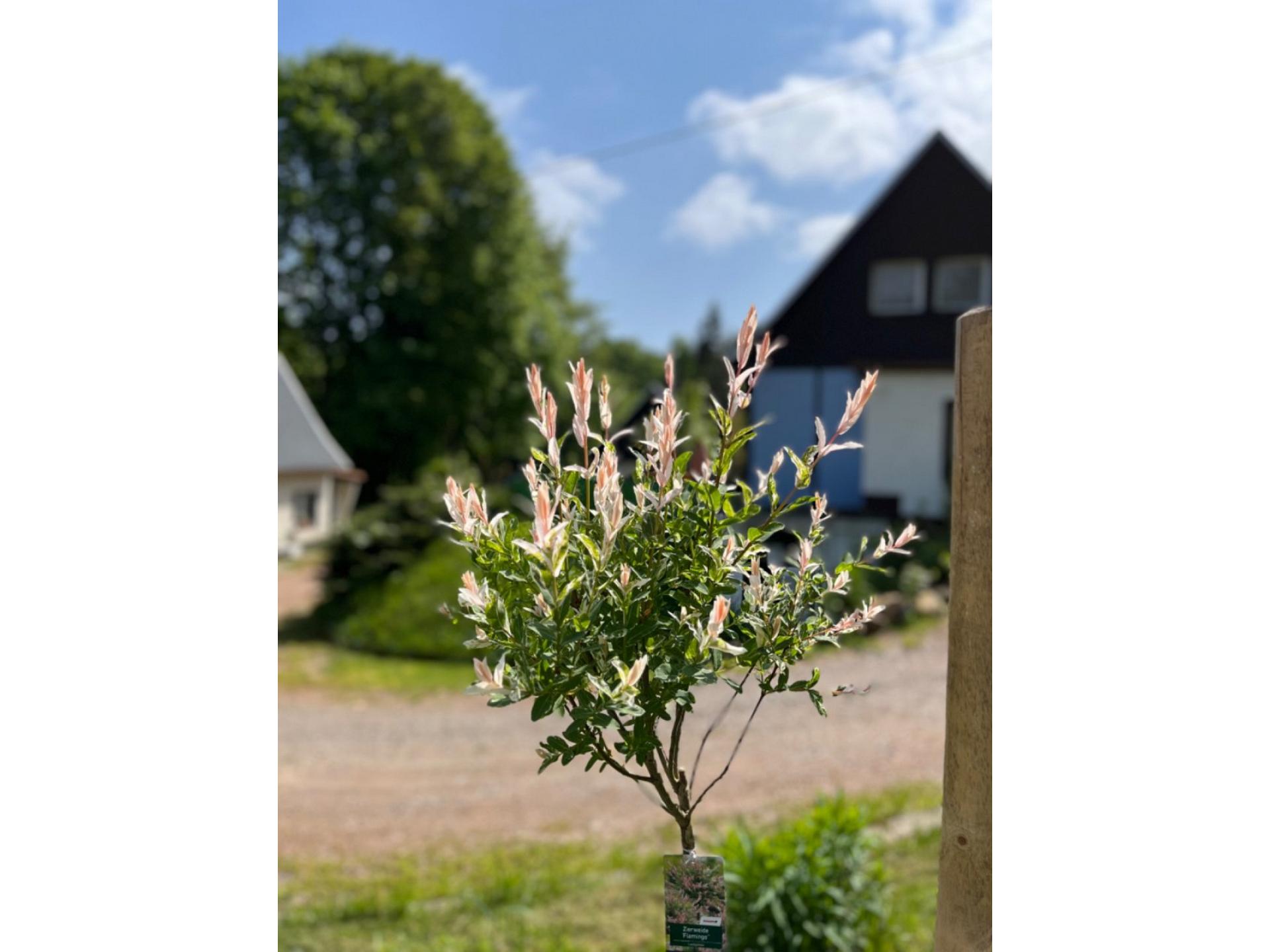 Haus 5 Foto 25