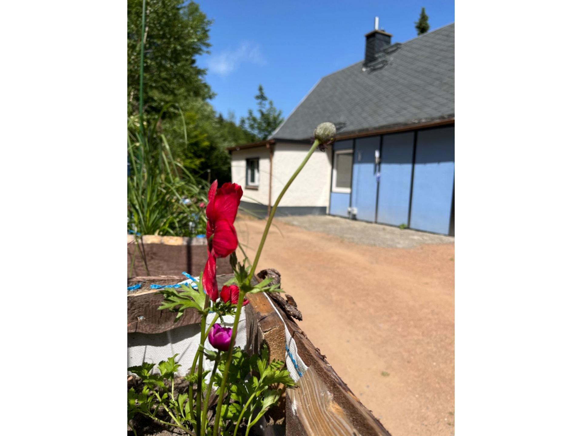 Haus 6 Foto 17