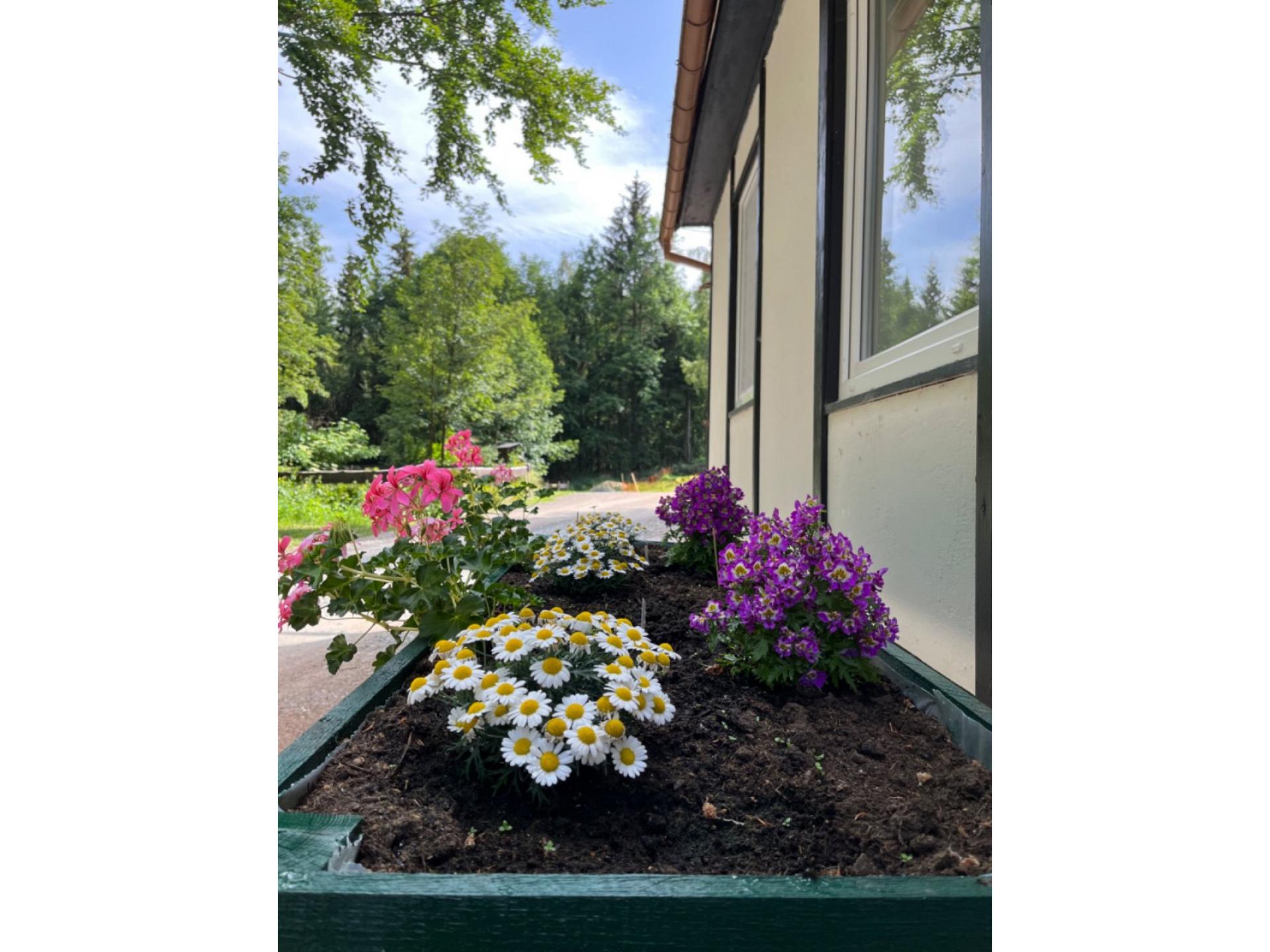 Haus 6 Foto 20