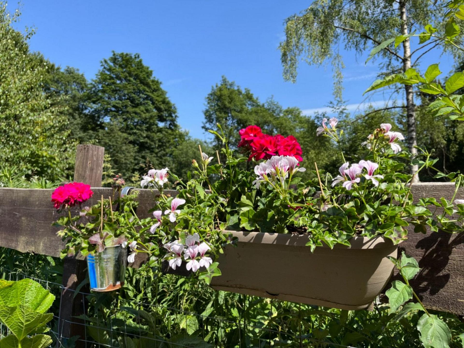 Haus 6 Foto 21