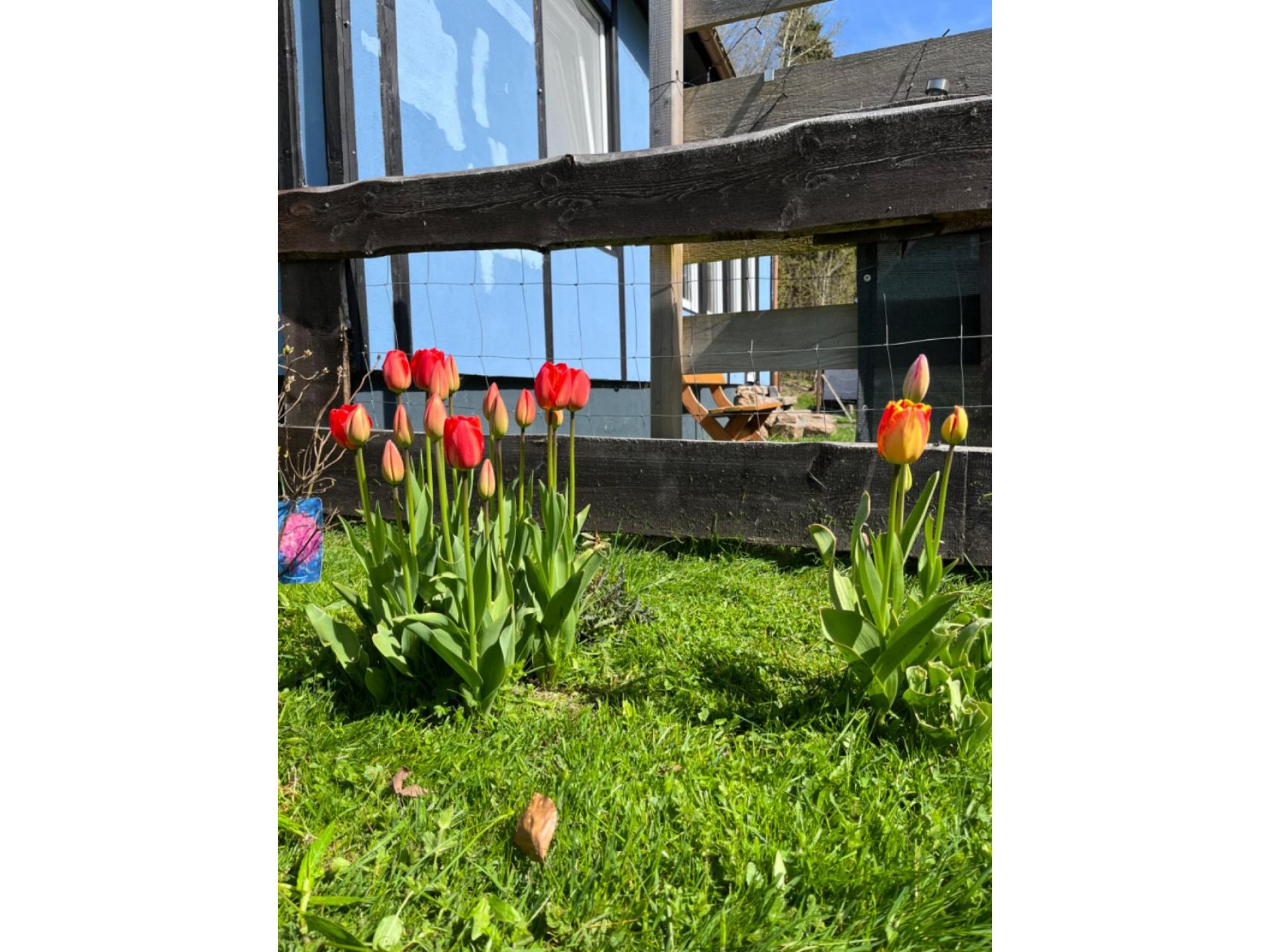 Haus 6 Foto 22